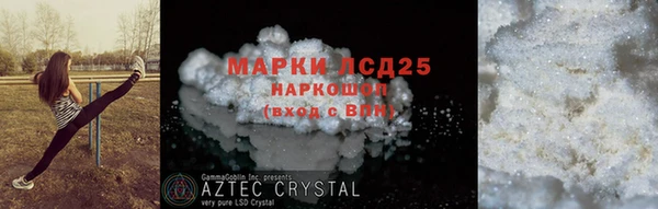 спиды Аркадак