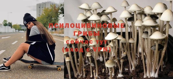 стафф Армянск