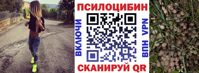 купить закладку  Лениногорск  это Telegram  Псилоцибиновые грибы GOLDEN TEACHER 