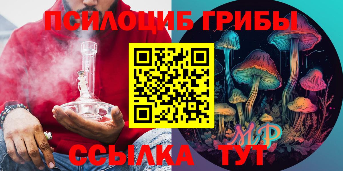 Псилоцибиновые грибы Psilocybine cubensis Лениногорск
