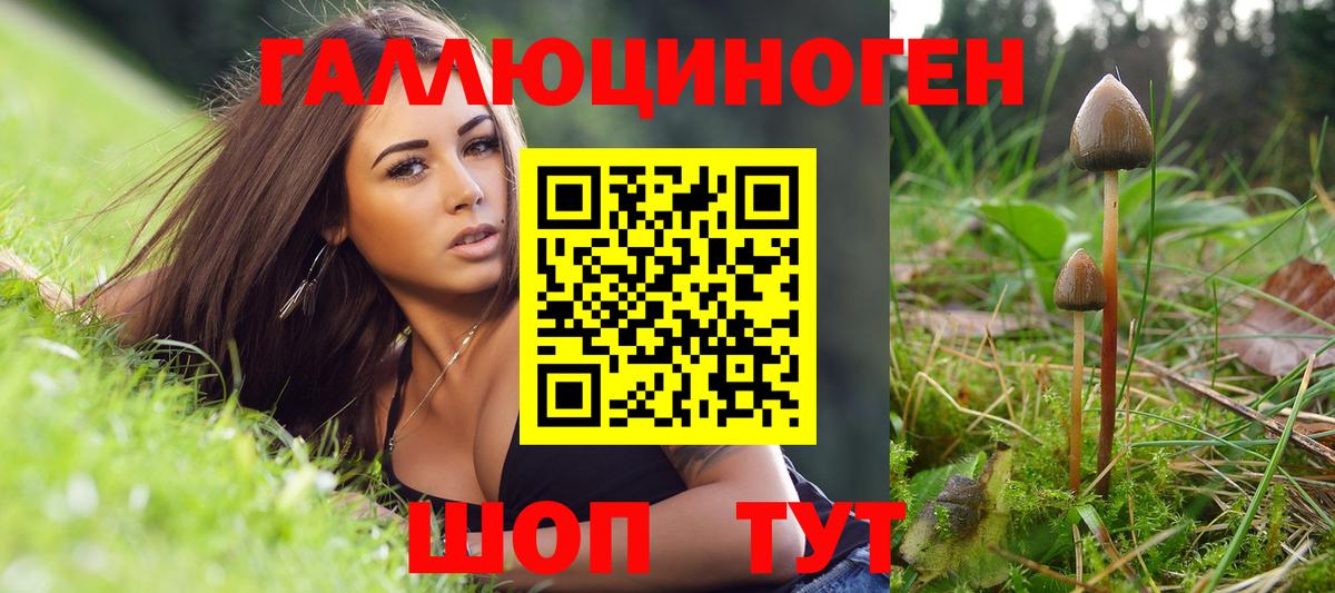 Лениногорск  Галлюциногенные грибы Magic Shrooms  Галлюциногенные грибы ЛСД  Вход с VPN 