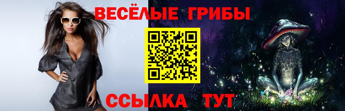 Галлюциногенные грибы GOLDEN TEACHER  Лениногорск 